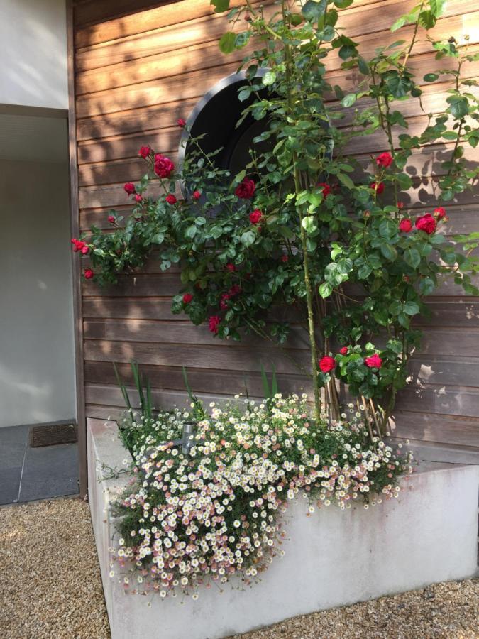 Bed and Breakfast La Belle Relax - Calme Et Tranquillite Assures - 2 Personnes Moëlan-sur-Mer Exterior foto